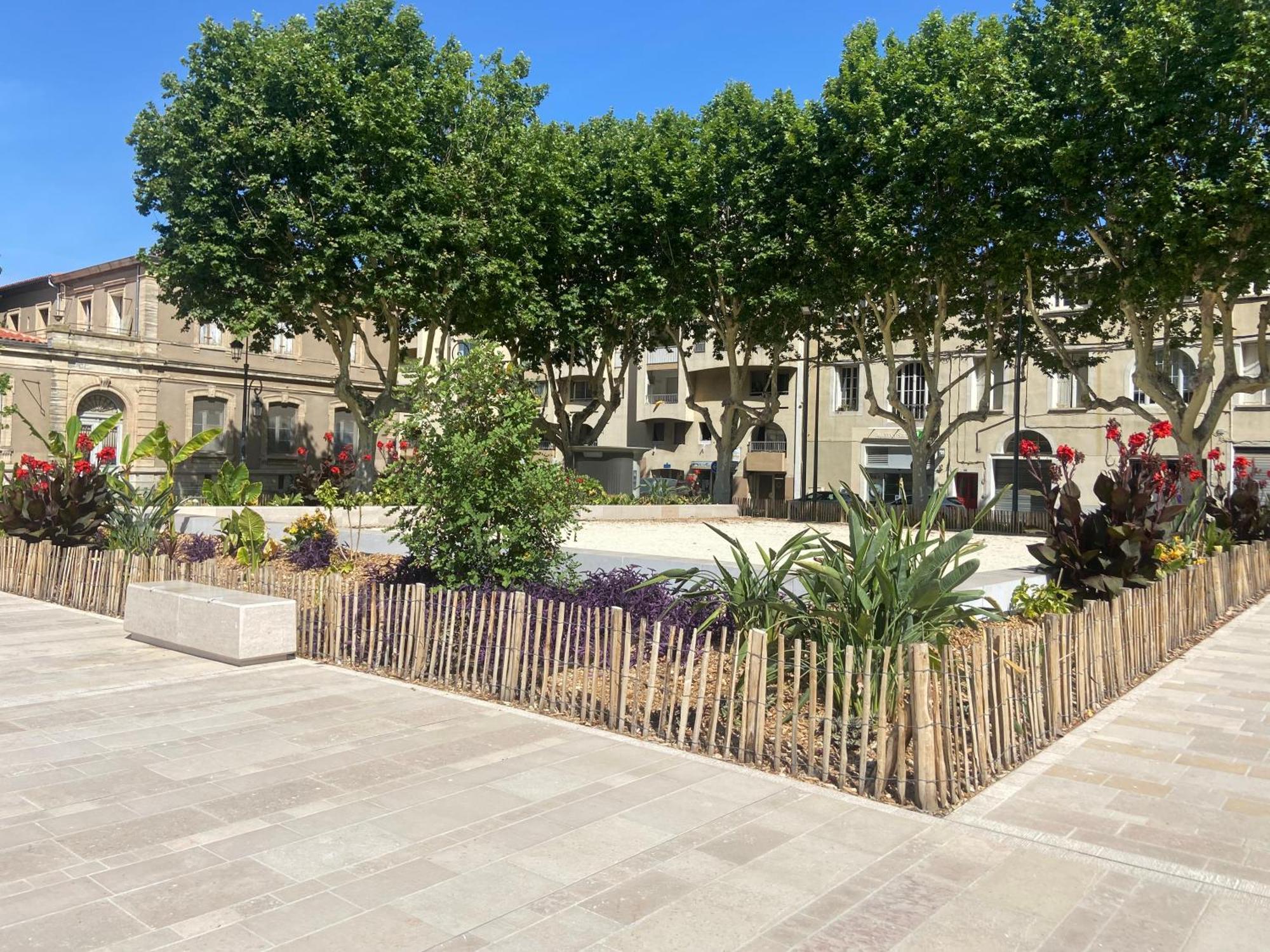 Charmant Appartement Central Terrasse Proche Gare Sete Bagian luar foto